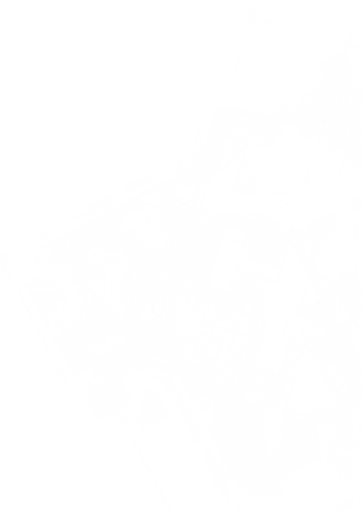 blueprint